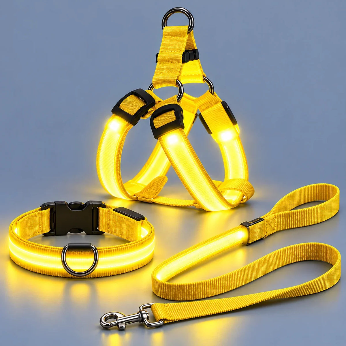 LED Light-Up Dog Harness and Leash Set