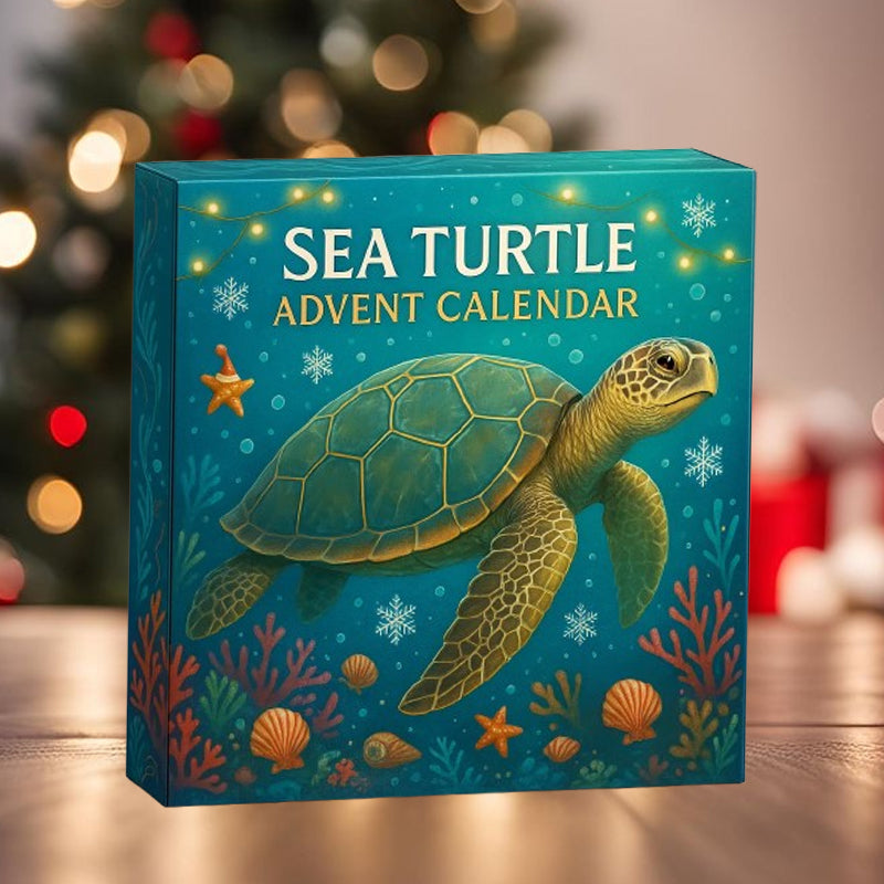 ππ’ Sea Turtle Advent Calendar 2025