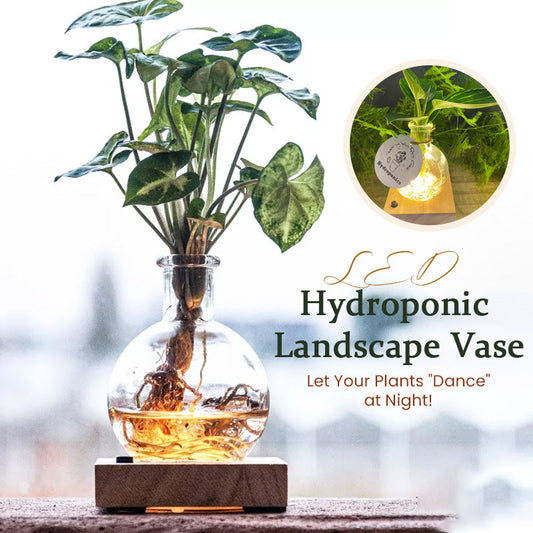 LED Hydroponic Plant Vase