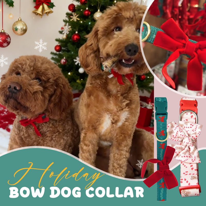 Holiday Bow Dog Collar