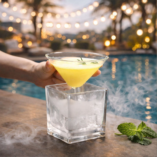 Mid-Century Modern 2-in-1 Stemless Cup & Ice Holder Set