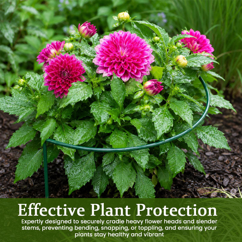 Plant Support Stake