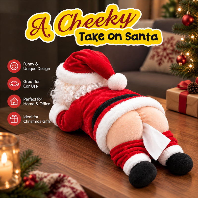 Funny Santa tissue holder - santa-original-03.jpg