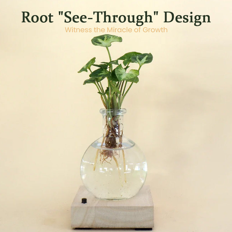 LED Hydroponic Plant Vase