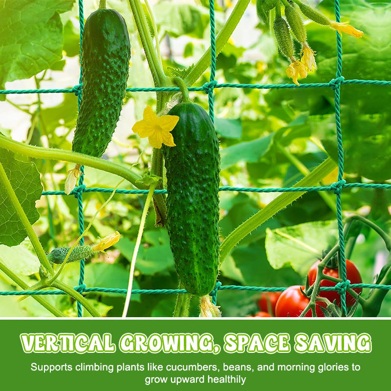 Plant Climbing Net