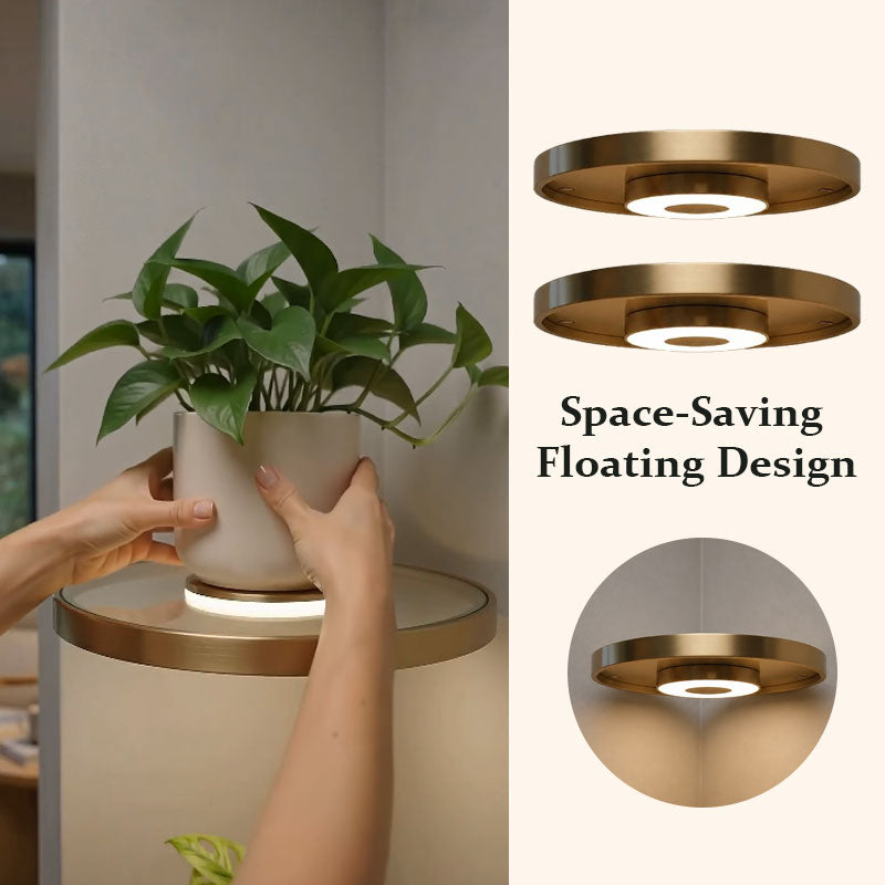 Floating Wall Shelf with Built-in Ambient LED Light