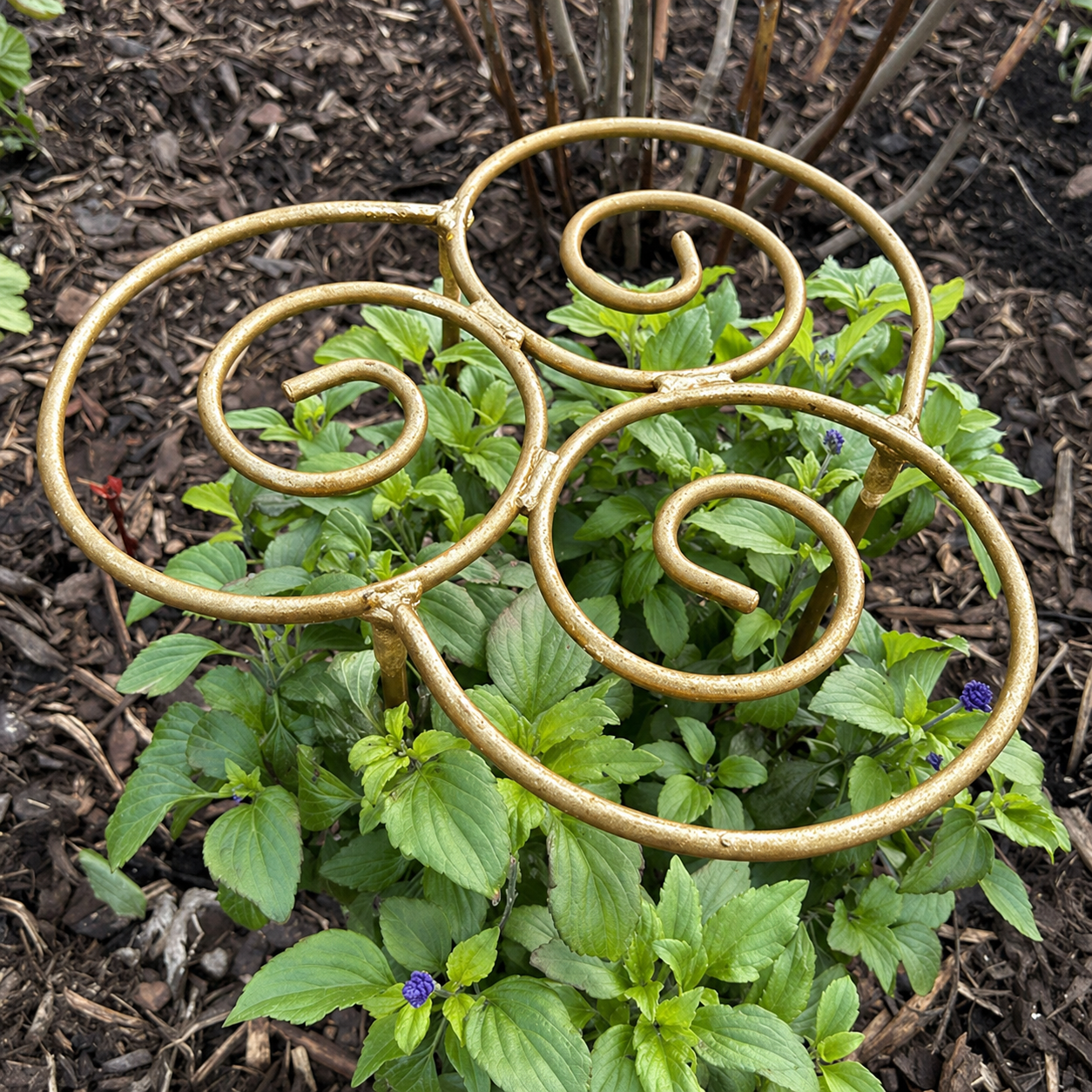 Plant Support
