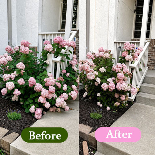 Plant Support Stakes Garden Flower Support Posts