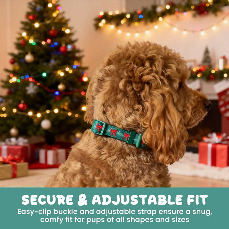 Holiday Bow Dog Collar