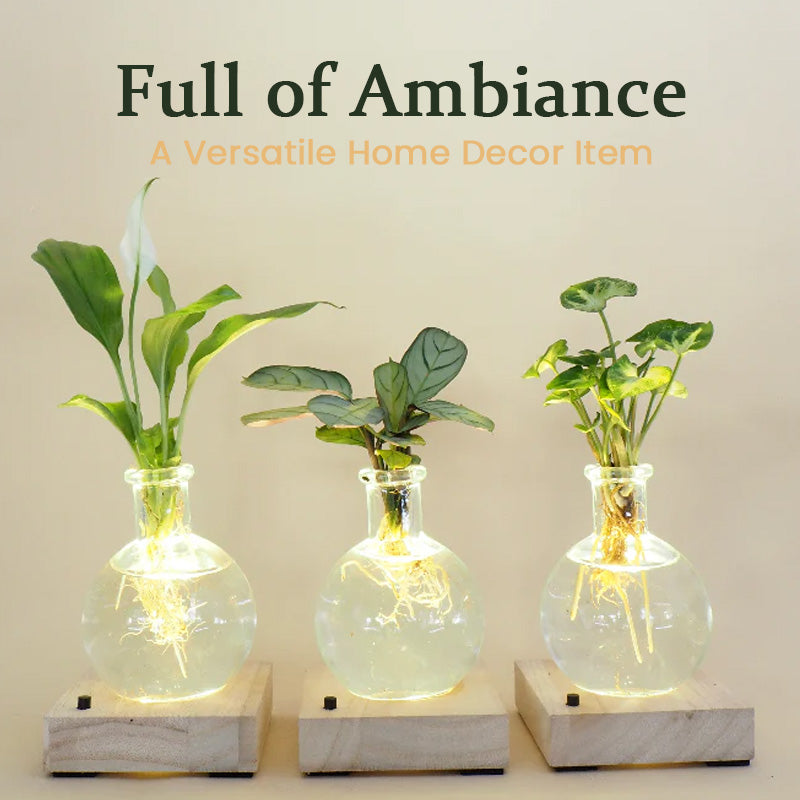 LED Hydroponic Plant Vase
