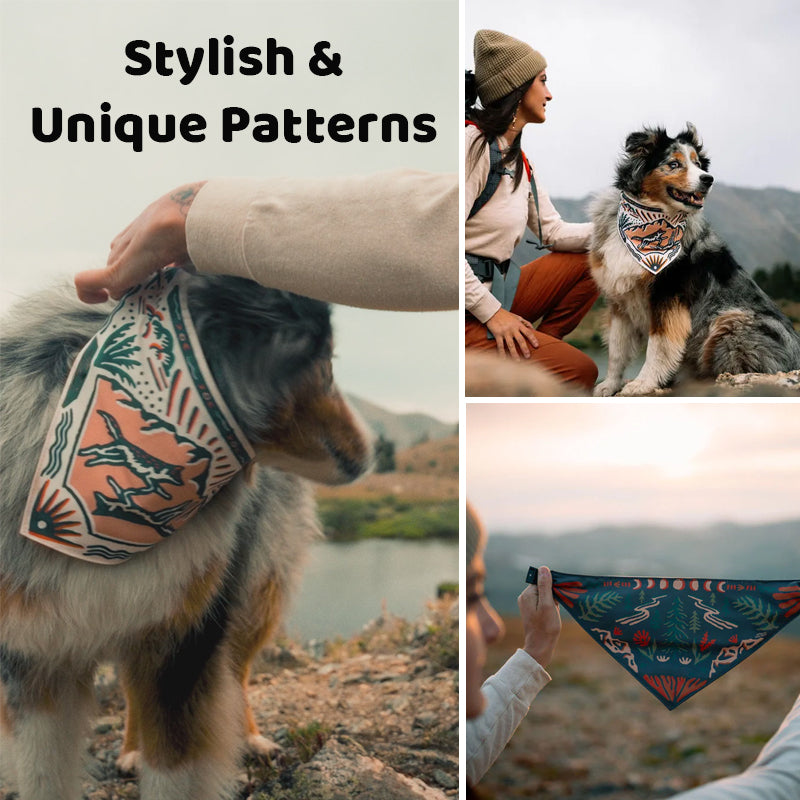 Dog Water Bandana