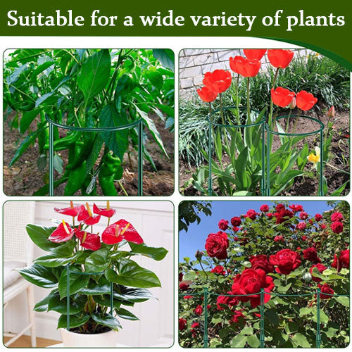 Plant Support Stakes Garden Flower Support Posts