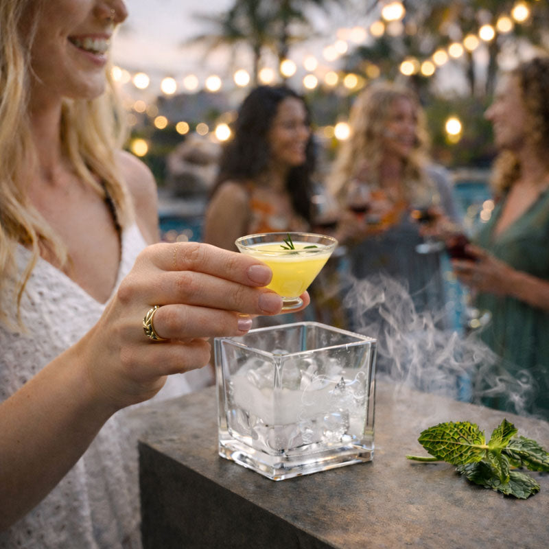 Mid-Century Modern 2-in-1 Stemless Cup & Ice Holder Set