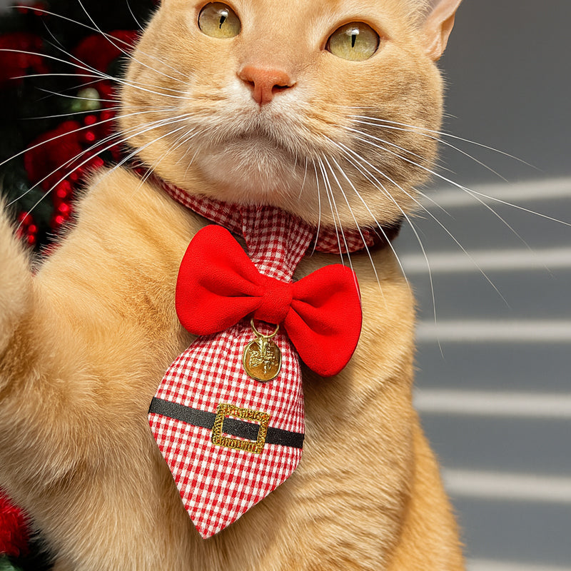 🎄 The "Purrfect" Holiday Tie: Dapper Cat Collars 🐱✨
