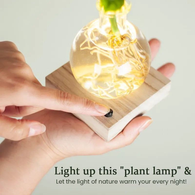 LED Hydroponic Plant Vase