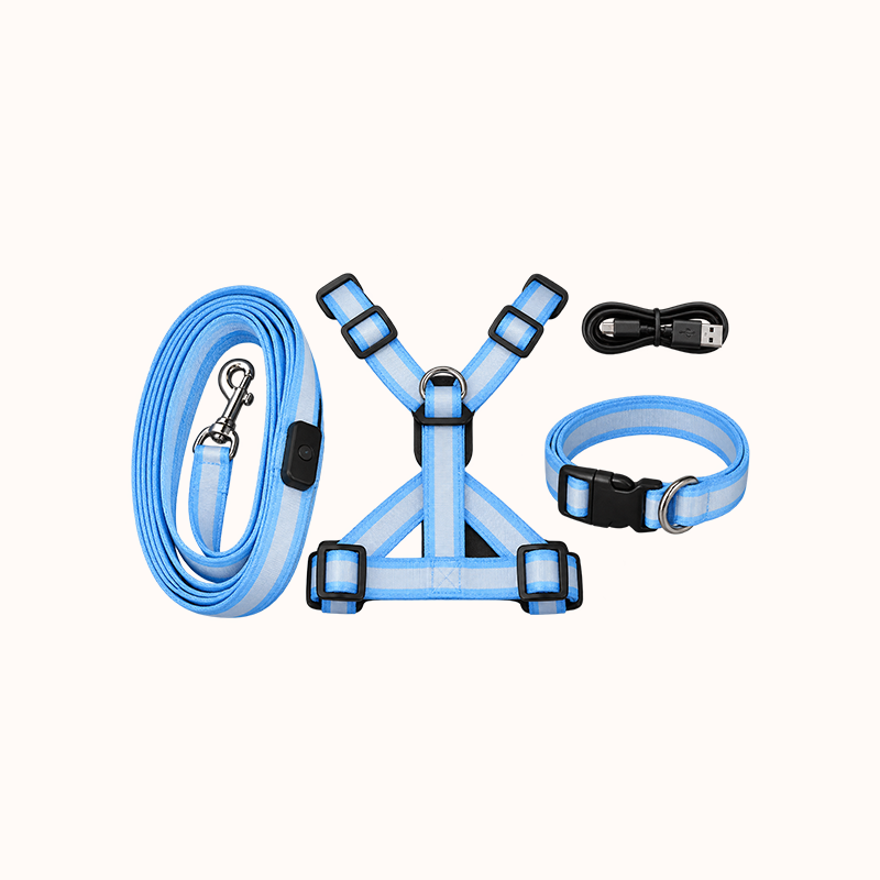 LED Light-Up Dog Harness and Leash Set