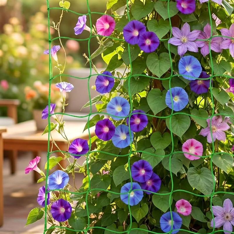 Plant Climbing Net