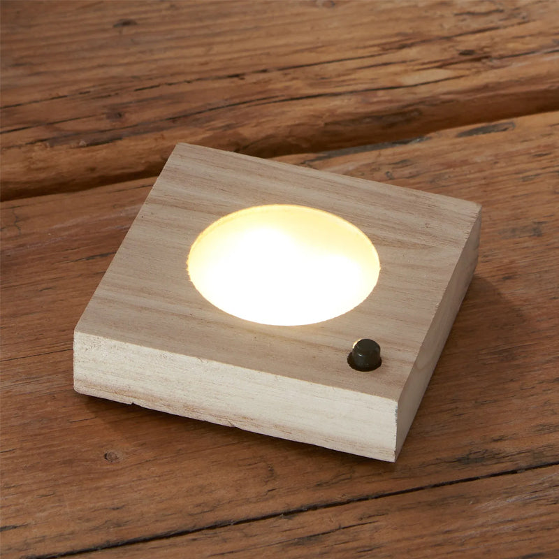 LED Hydroponic Plant Vase